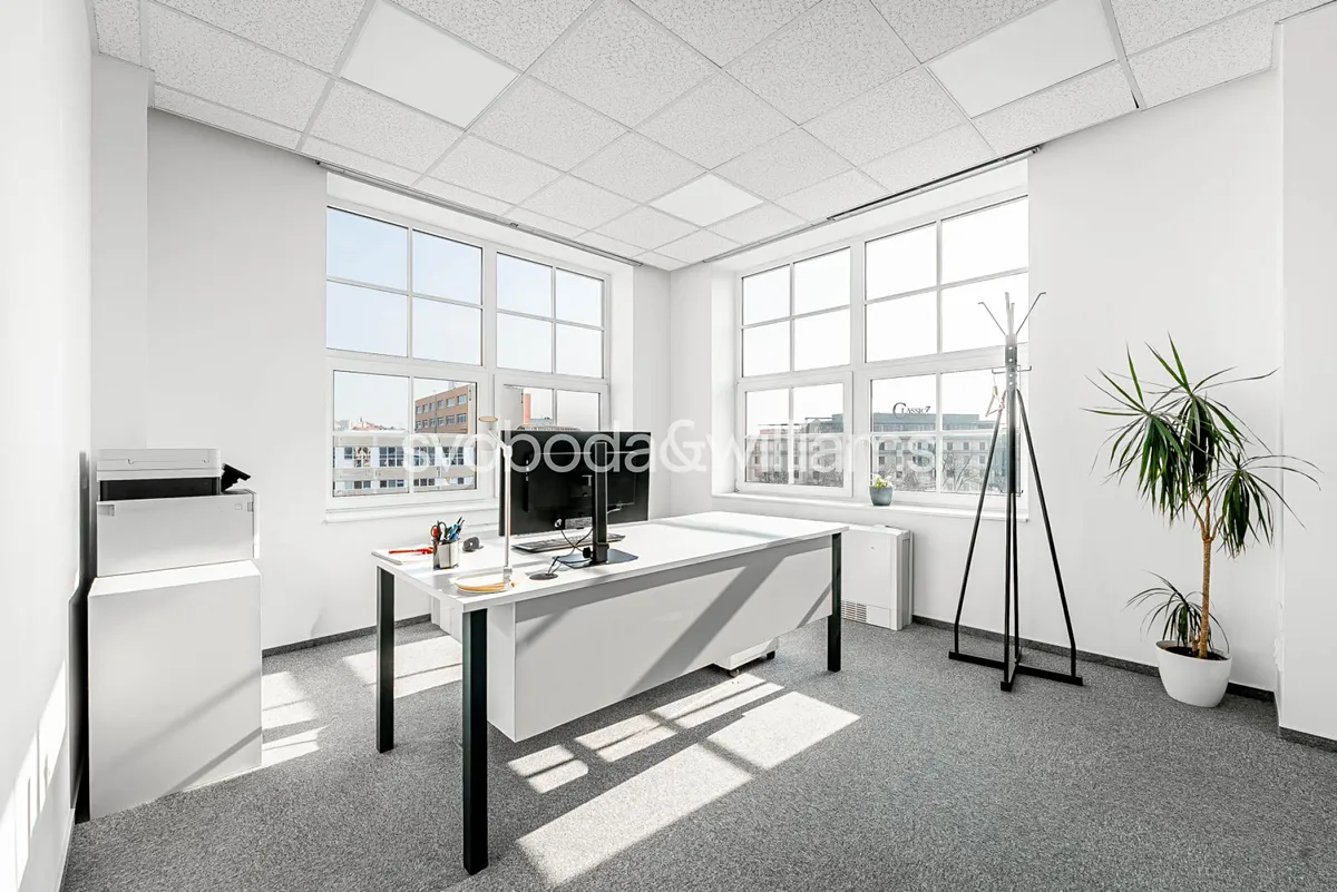 Pronájem kanceláře 185 m²
